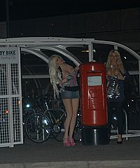 Busty Girls Flashing